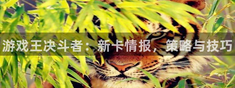 天美娱乐app下载地址：游戏王决斗者：新卡情报，策略与技巧