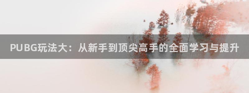 天美娱乐手机网页版登录：PUBG玩法大：从新手到顶尖高手的全