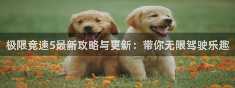 天美娱乐官网：极限竞速5最新攻略与更新：带你无限驾驶乐趣