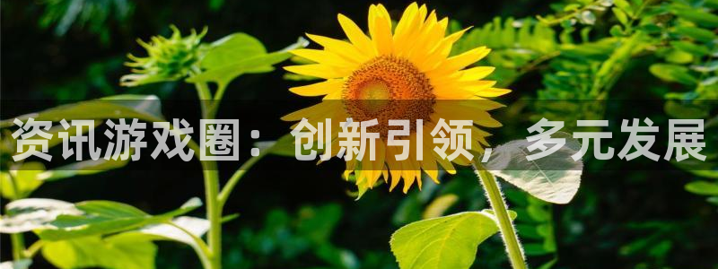 天美娱乐官方注册登录：资讯游戏圈：创新引领，多元发展