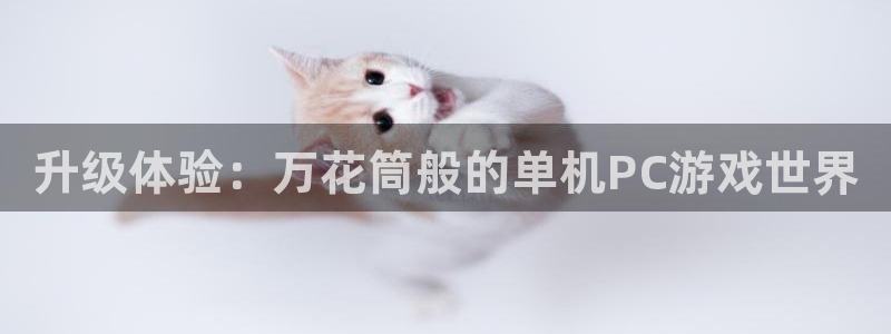 天美娱乐平台官方网站：升级体验：万花筒般的单机PC游戏世界