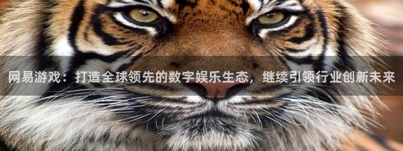 天美娱乐在线登录：网易游戏：打造全球领先的数字娱乐生态，继续