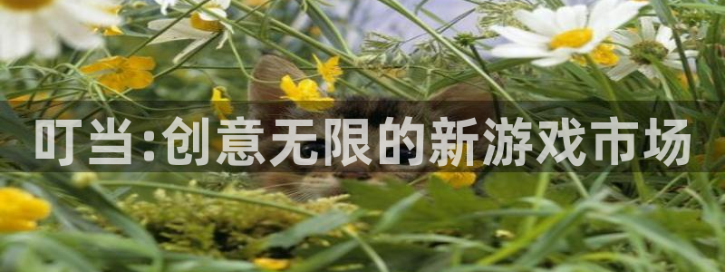 天美娱乐网页登录入口官网：叮当:创意无限的新游戏市场