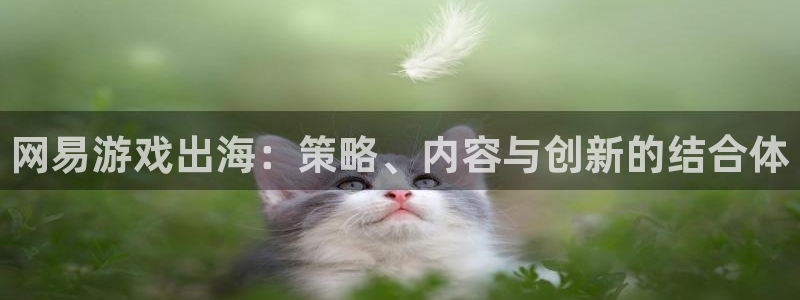 天美娱乐登陆测速：网易游戏出海：策略、内容与创新的结合体