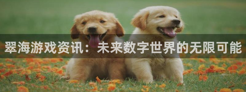 天美娱乐开户测速：翠海游戏资讯：未来数字世界的无限可能