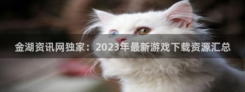 天美娱乐登录网址：金湖资讯网独家：2023年最新游戏下载资源